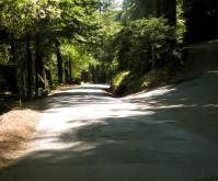 Tunitas Creek Rd. & Lobitos Creek Rd. (680ft)