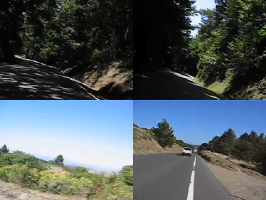 Selected Descents (QuickTime Movie)