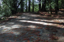 Typical section of Tunitas Creek Road