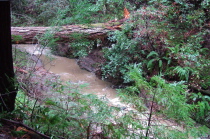 A muddy Alpine Creek