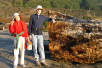 Kay and Bill at the eucalyptus driftwood