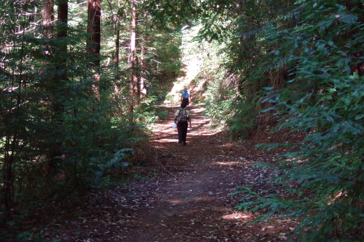 Ron and Stella hike up the Tarwater Loop Trail.