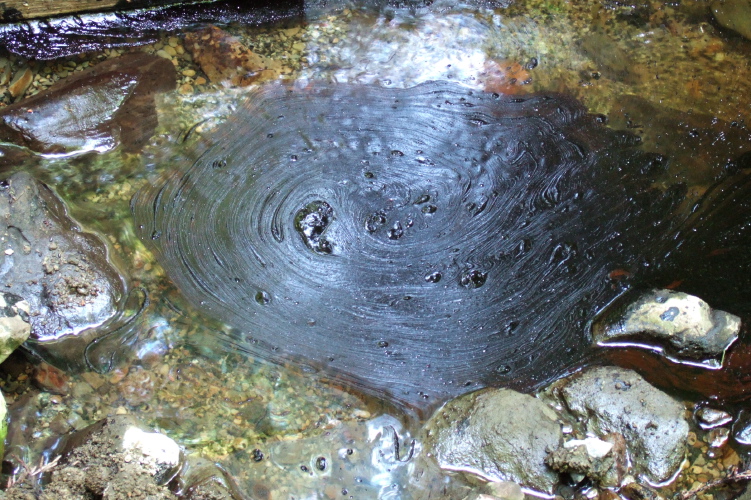 A tar swirl on the Tarwater Creek.