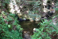 Confluence of Jones (l) and Brook Creeks from the Granger Bridge.