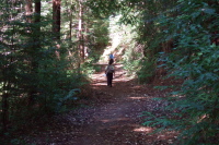 Ron and Stella hike up the Tarwater Loop Trail.