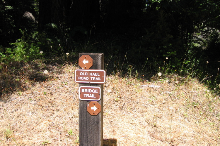 At the junction of Old Haul and Bridge Trails.