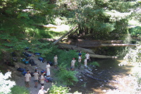Campers enjoying Pescadero Creek.