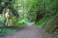 Purisima Creek Trail.