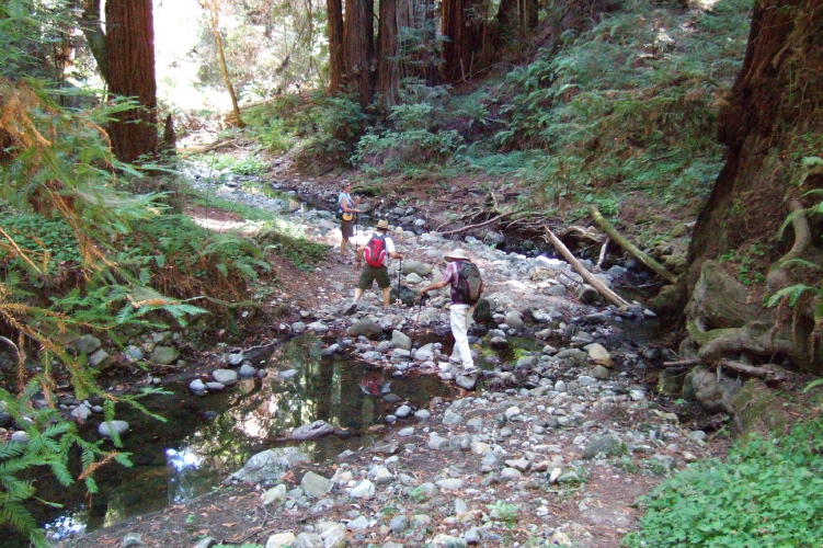 Stepping across a low-flowing Peters Creek.