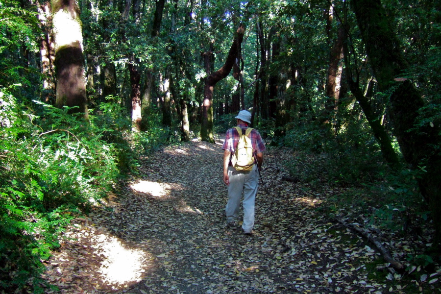 David starts down Richard's Road.