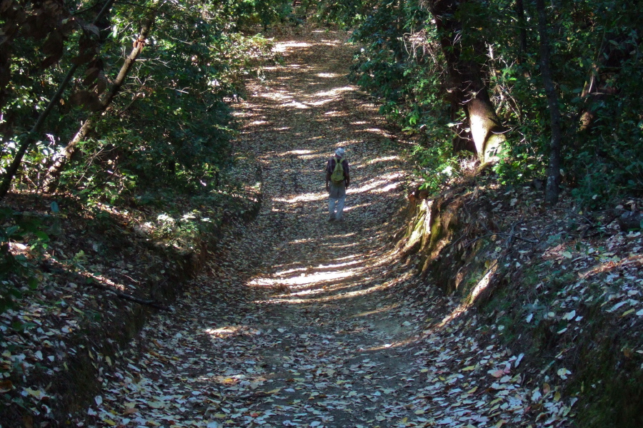 David on Richard's Road.