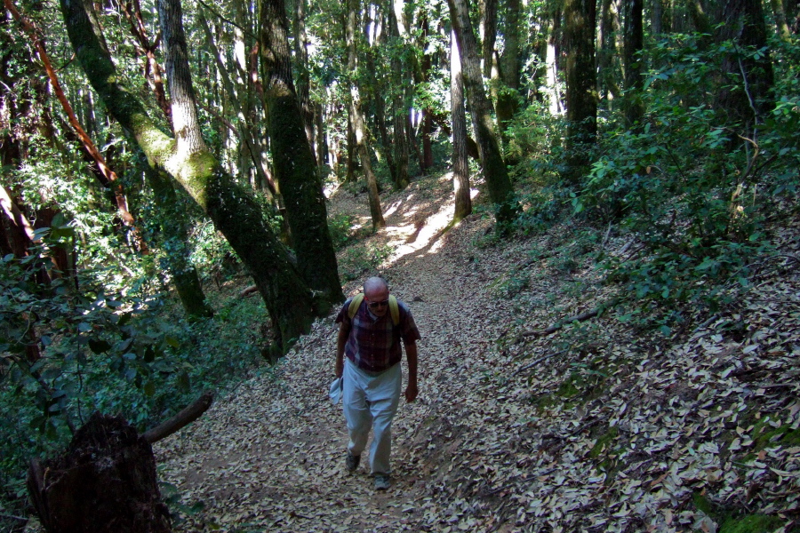 Lonely Trail gets steep.