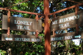 At the junction of Mt. Redondo Trail and Lonely Trail.