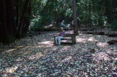 David enjoys a rest on this bench on Lonely Trail, several miles from the trailhead.