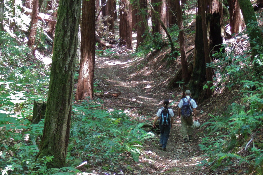 Frank and Stella descend alongside Raymundo Creek.