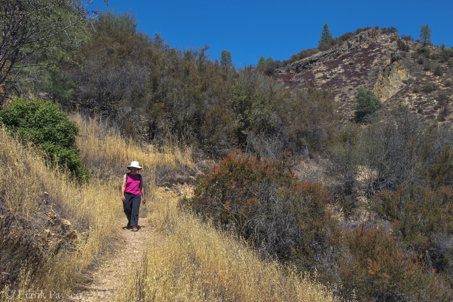 Stella walks down High Peaks Trail.
