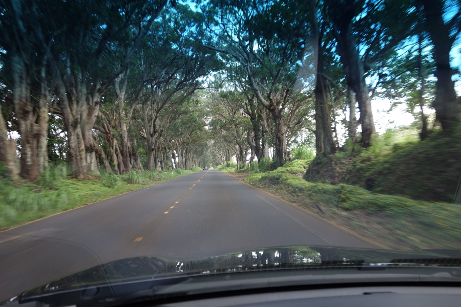 Driving up Maluhia 