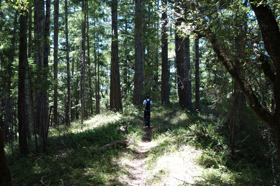 Bogdan heads down Upper Coyote Ridge Trail