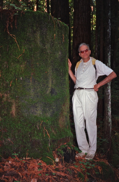 David stands next to an enormous stump.