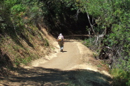 David plods up the Rhus Ridge Trail.