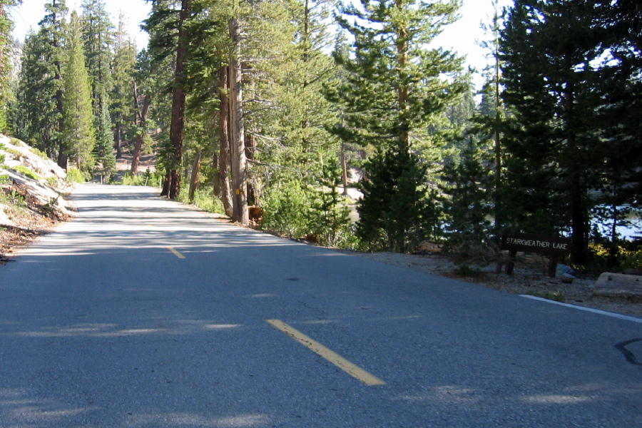 Minaret Summit Rd. near Starkweather Lake (8030ft)