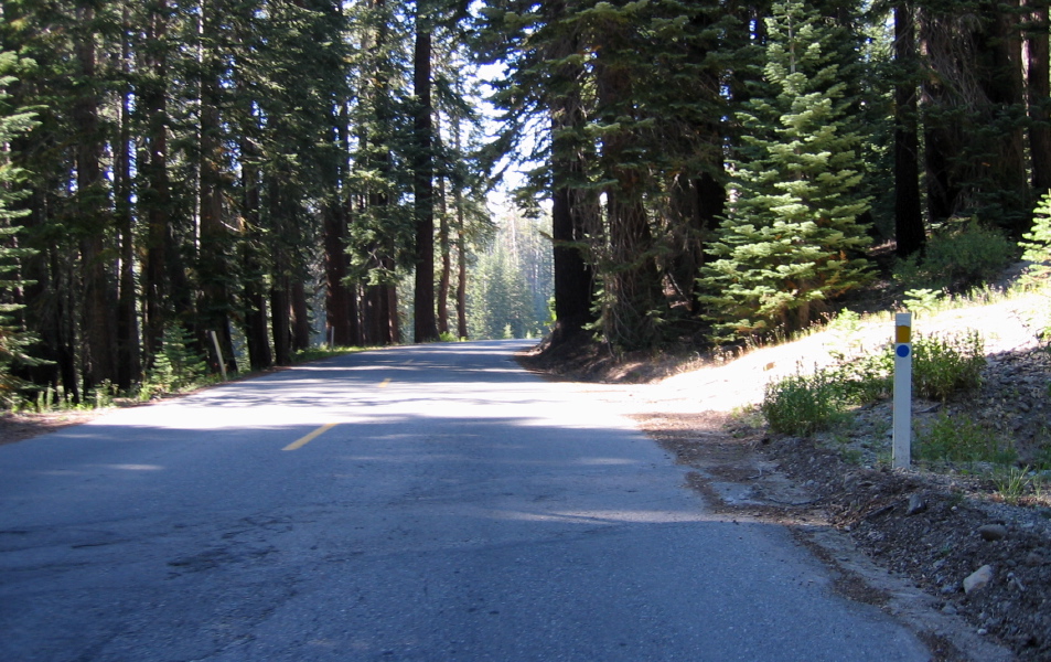 Approaching Agnew Meadow on Minaret Summit Rd. (8330ft)