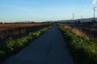Heading south on the Bay Trail east of East Palo Alto