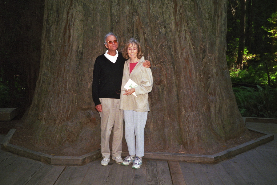 David and Kay at the base of a giant redwood tree
