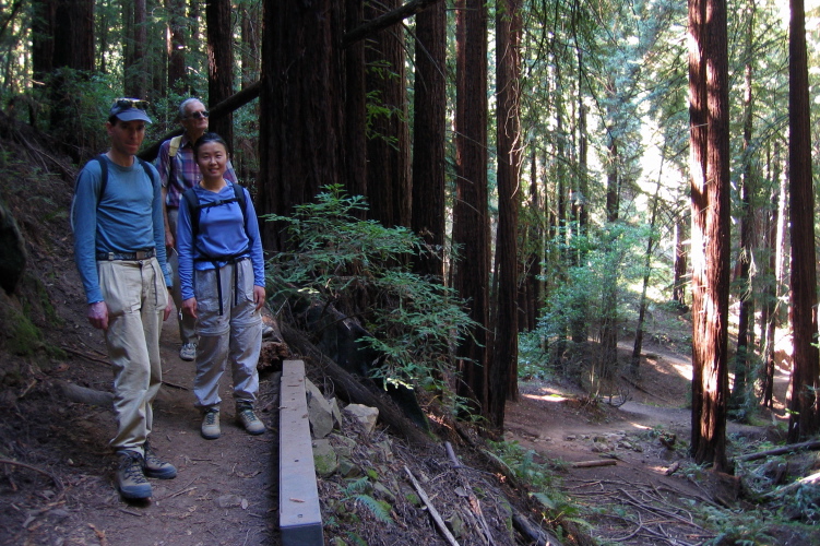 (f to r): Zach, Noriko, and David pause to enjoy the redwoods on the French Trail.
