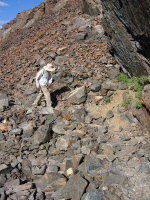 David climbs the trail through the clinkers along Lake Helen (10101ft).