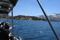 Looking back at the Saddlebag Lake Resort from the water taxi (10066ft)