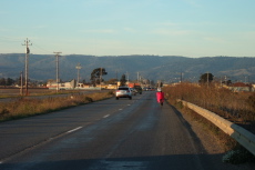 Ron Bobb rides into Pajaro on Salinas Road.