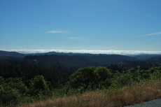 A low fog bank hugs the coast as seen from Alpine Road.