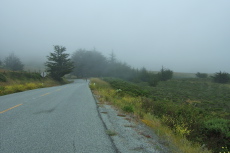 Stage Road is socked in the fog.