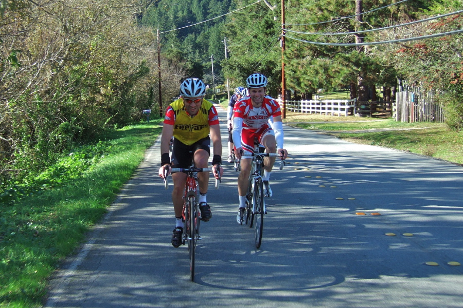 Stanford Cycling Team practices a double echelon on Pescadero Road.