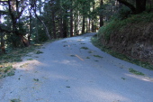 Debris on Alpine Road