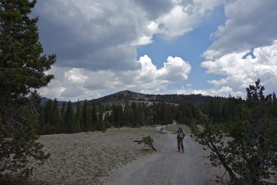 View back toward the high point along San Joaquin Ridge