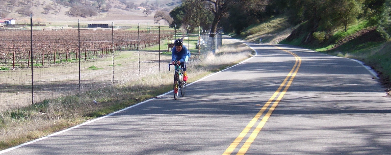 Dan Connelly passes the vineyards in Bear Valley.