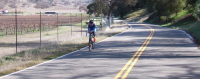 Dan Connelly passes the vineyards in Bear Valley.