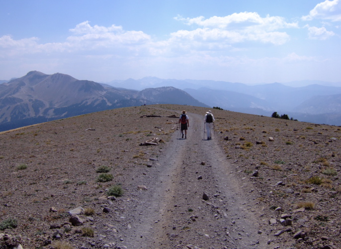 Ron and David walk down the 4WD road.