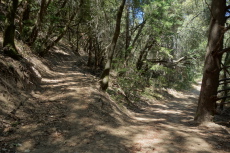 A new trail leads uphill to the left off of trail 