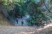 David, Frank, and Stella descend the Peterson Trail.