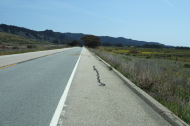Looking down the long, straight highway north of Ano Nuevo