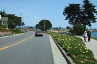 West Cliff Drive, Santa Cruz