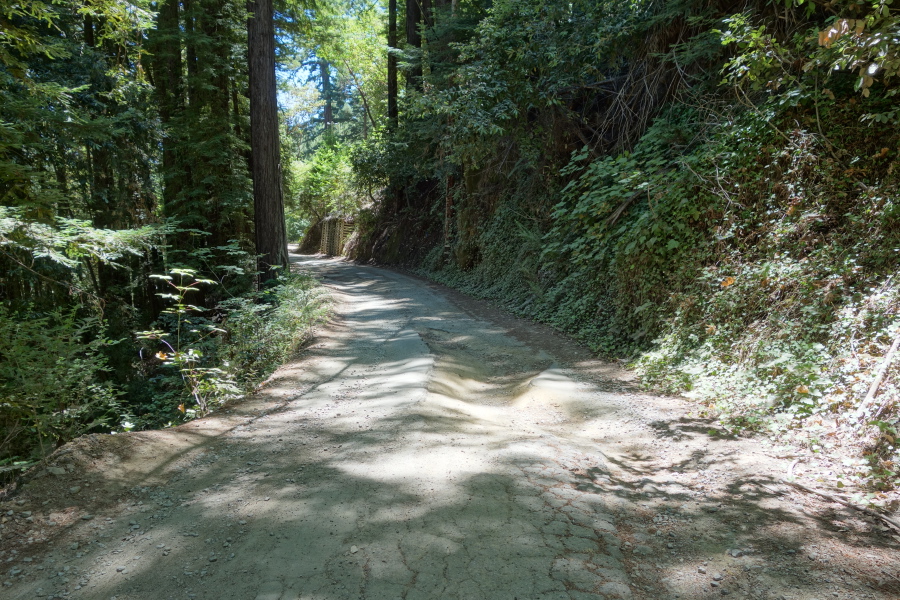 Schulties Road is rough and rutted on its seldom-traveled middle section.