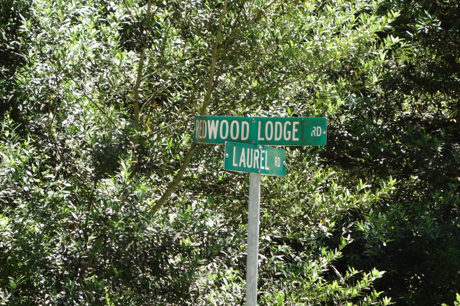 I climbed Redwood Lodge Road out of Laurel.