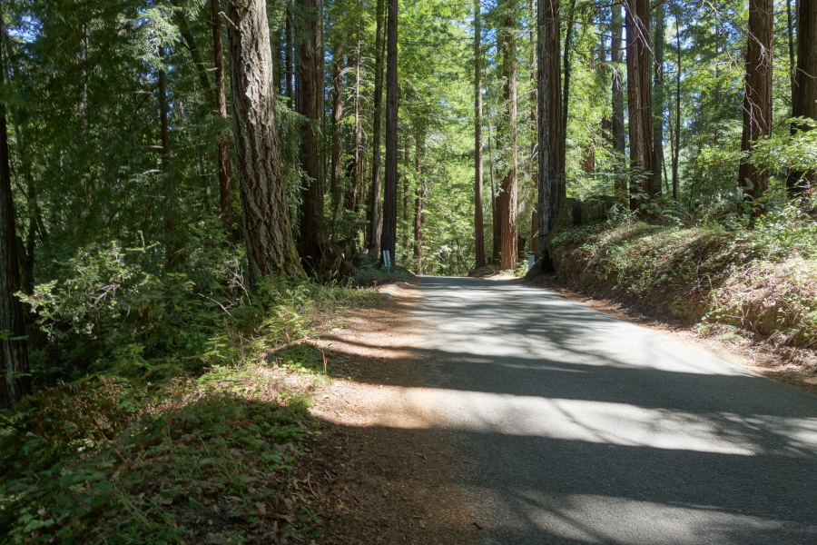 Beautiful Bean Creek Road