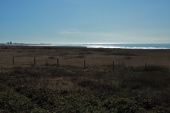 View of Año Nuevo on New Year's Day