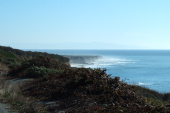 Coastline near Scott Creek Beach