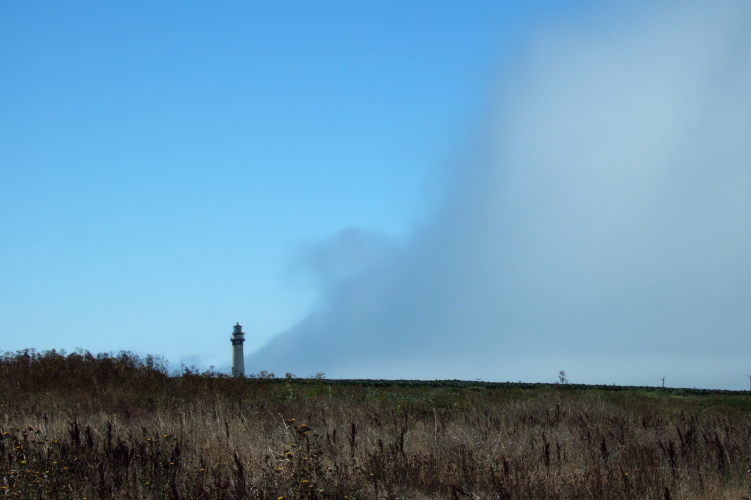Pigeon Point Lighthouse faces down an enormous wave of fog.